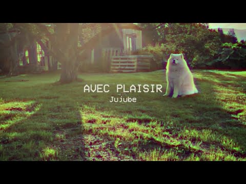 "Jujube" by Avec Plaisir (Official Music Video)