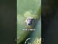 물 속을 볼 수 있는 이유 thumbnail