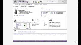Using System Manager screenshot 4