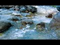 Healing River Flow – Water and Bird Sounds for Deep Sleep and Inner Calm