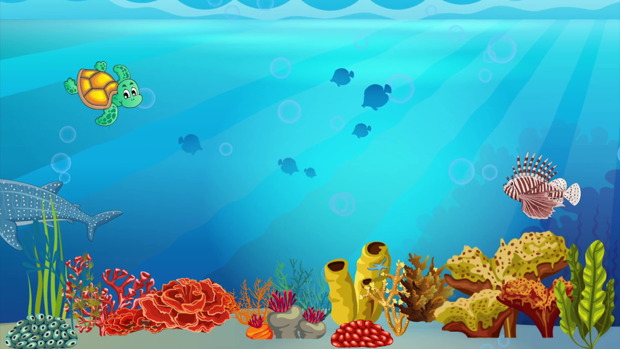 Los Océanos Índico YouTube Los Océanos Índico YouTube