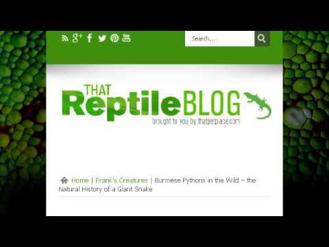 camera iphone 8 plus apk Information On The Life Of A Python Snake