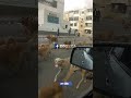 هنجيبك يا حماده لو رحت فين
