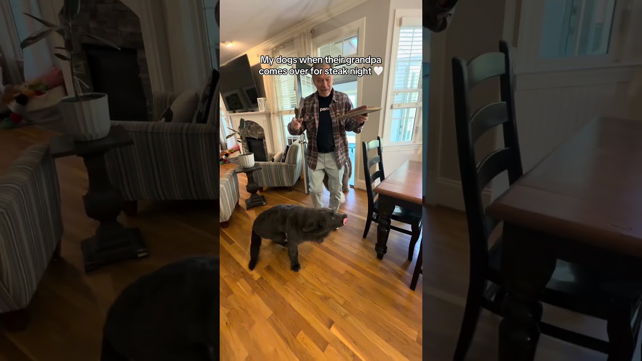 Grandpa cooking my dogs steak❤️