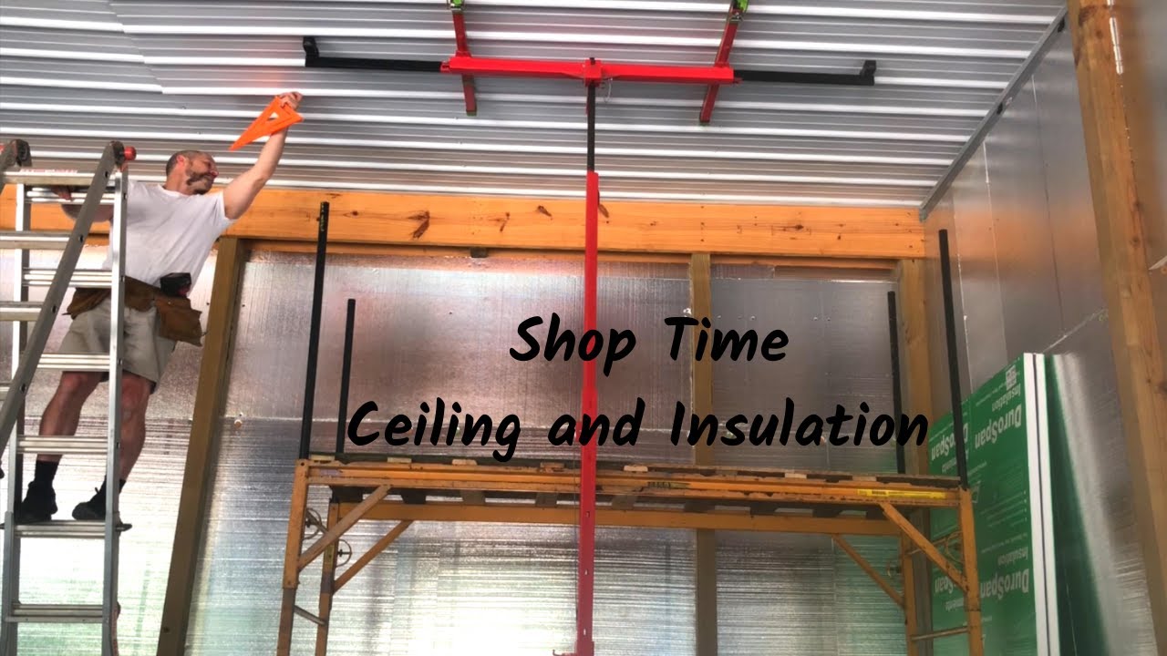 Pole Barn Ceiling Insulation Installation Shelly Lighting black-liner-panel-pole-barns-direct