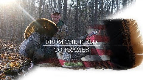 From the Field to Frames