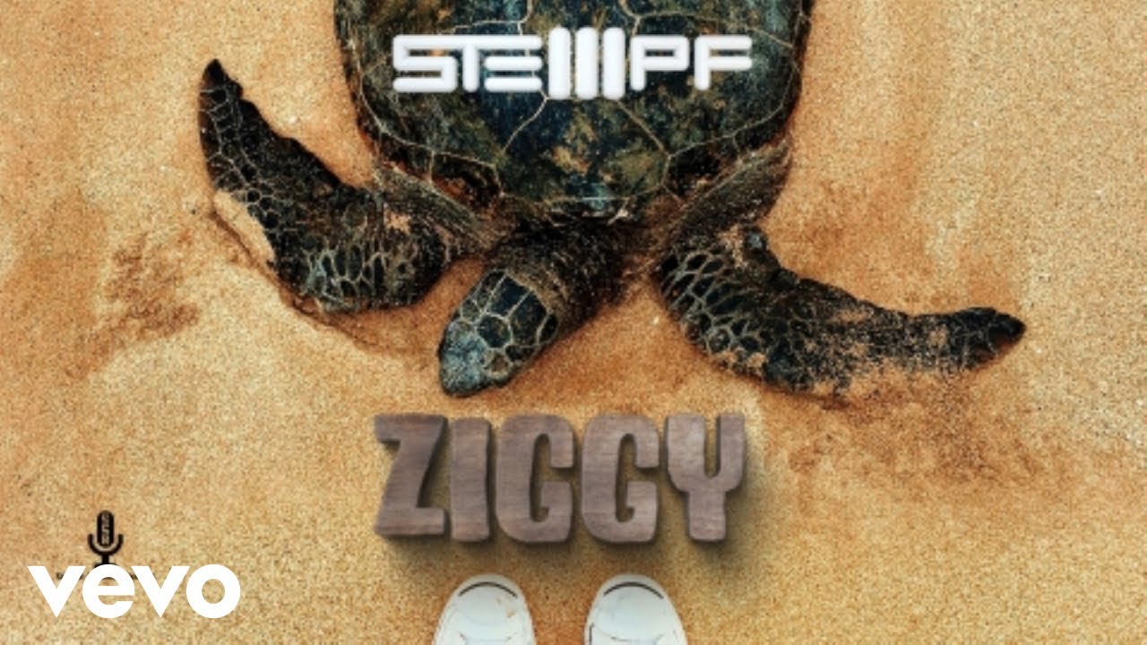 STEMPF - ZIGGY