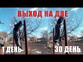 ВЫХОД СИЛОЙ ЗА 30 ДНЕЙ /  Как сделать выход силой? Легкие трюки на турнике