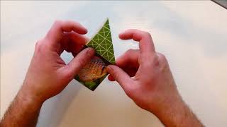 Foldology Origami Puzzles - Solution for #2