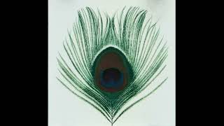 XTC - 06 Greenman