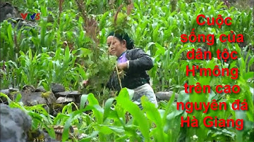 Cuộc sống của dân tộc H