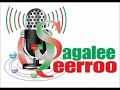 SQ Sagalee Qeerroo Bilisummaa Oromo Sadaasa 2 2017 SQ Sagalee Qeerroo Bilisummaa Oromo Sadaasa 2 2017