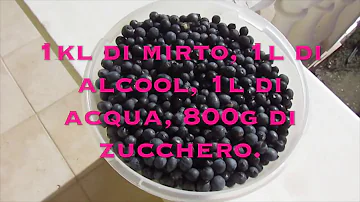 Quanto dura il mirto fatto in casa?