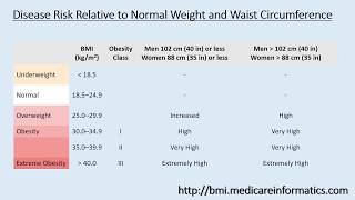 BMI Calculator (Brief Description) screenshot 2