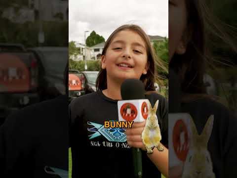 Is the Easter Bunny Good at Hiding Eggs?