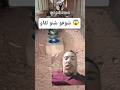 شوفو شنو لقا 😱 #shorts