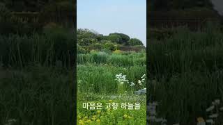 #머나먼고향 #나훈아 #유튜브숏츠 #shorts #트로트 #여행 #노래