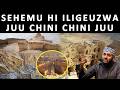 ARIDHI ILIO PIGWA CHINI JUU, SHEIKH ABDALLAH AL-AHDAL