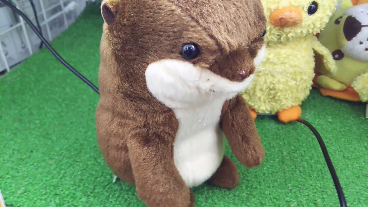 ドンキで見つけたぬいぐるみが超おもろい件 Youtube ドンキで見つけたぬいぐるみが超おもろい件 Youtube