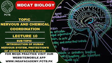 INTRODUCTION OF HUMAN NERVOUS SYSTEM || TOPIC || NERVOUS & CHEMICAL COORDINATION || MDCAT/NUMS ||