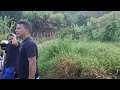Campeada de papa capim em pirapama Pernambuco