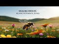 Healing Breeze: Relaxing Instrumental Journey