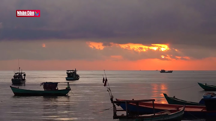 Làng chài hàm ninh nên đi buổi nào năm 2024