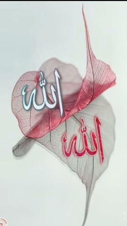 14 July 2025
