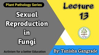 Sexual Reproduction in Fungi | Sexual Spore | Methods of Sexual Reproduction in Fungi by Tanisha