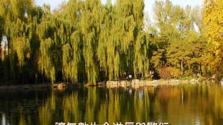 Download Lagu 【大自然之歌】湖光之歌 MP3