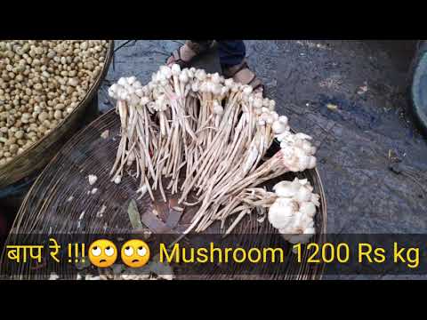 बाप रे !!!! 🙄🙄 Mushroom इतना  महंगा 😮😮Il Jharkhand ll Ranchi