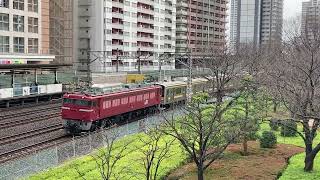 【さらばトプナン】EF81 141+205系1100番台T11編成+T13編成KY廃車回送 川口通過