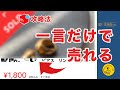 【メルカリ】飛躍的に売れる!商品タイトルの一言【フリマ攻略】