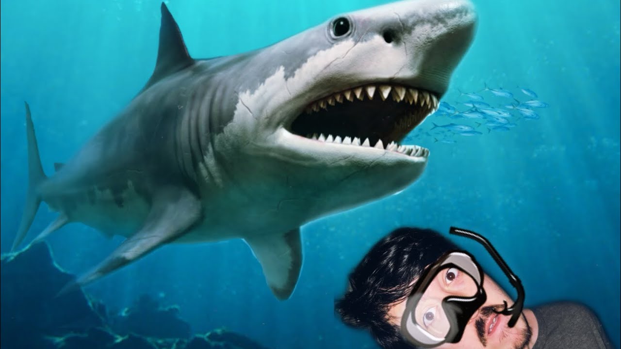 Top 5 Worst Shark Movies