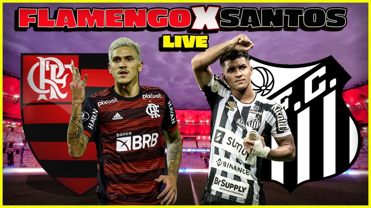 Clube de Regatas do Flamengo x Santos ao vivo agora 1 novemb, Группа сайта  Global Rise Group