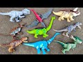 Hunting found Dinosaur T-rex, Brontosaurus, Stegosaurus, Triceratops, Giganotosaurus, Carnotaurus.