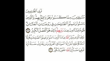 سورة الشورى 9 القسم التاسع تكرار كيفي من .. ترى الظالمين مشفقين مما كسبوا .. إلى .. الله غفور رحيم