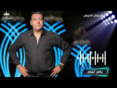 شويا روقان يلا بينا نسمع ونروق ياسر نجم