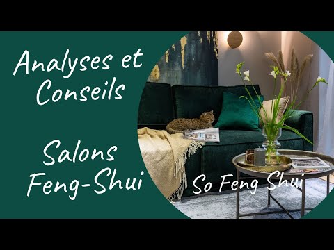 Feng Shui Living Rooms: Photo Analyses and Tips. Well-Being, Relationships, and Prosperity.