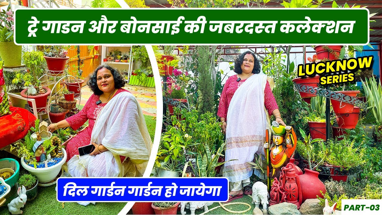 सोनल जी के गार्डन में है ट्रे गार्डन और बोन्साई की भरमार 🤩 🤩 दिल गार्डन गार्डन हो जायेगा 😍 😍