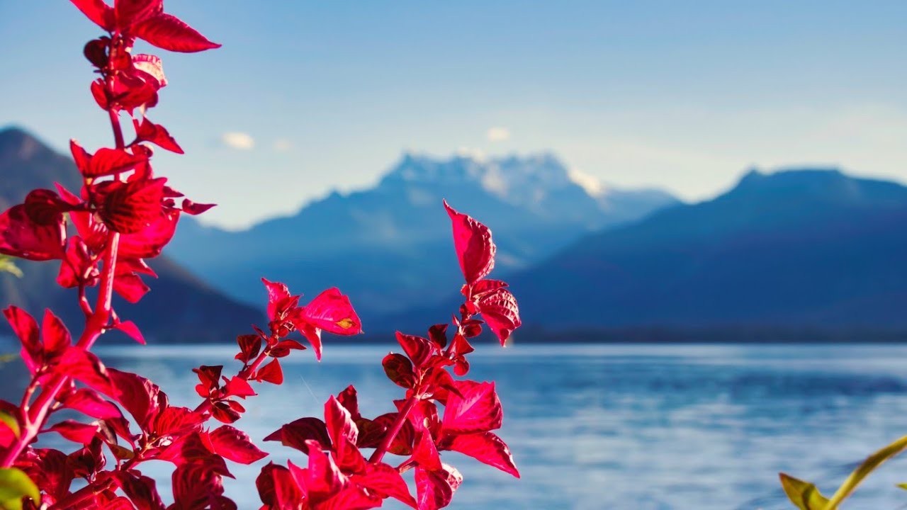 Calm Your Heart with ALLAH'S Dhikr | Water Sounds for Peace