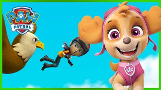 Die Welpen retten eine Retterin - PAW Patrol Germany - Cartoons für Kinder by PAW Patrol Deutschland  1,498 views 3 days ago 1 minute, 58 seconds