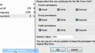 File & Folder Permissions using Filezilla