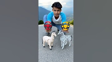 Rc Remote Control Horse & Zebra Ki Testing Deko 🔥🦓