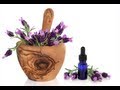 Where Lavender Fresh Flowers Buy To