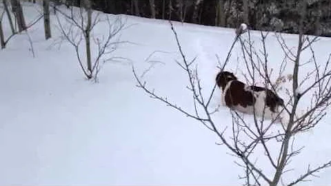 Mirka dans la grosse neige