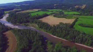 Save The Salmon - Cape Breton