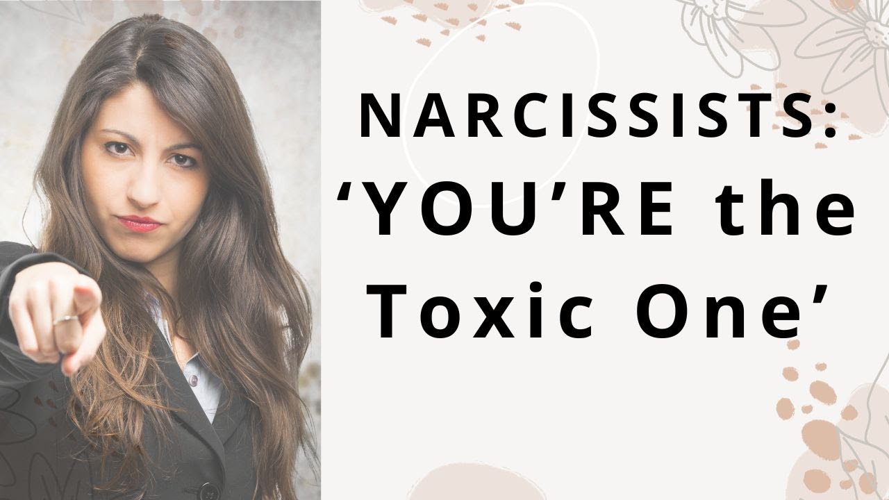 How Covert Narcissists Convince You & Others That YOU'RE The Toxic One ...