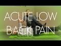 Exercises for Acute Lower Back Pain