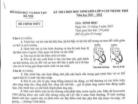 Video ĐÁP ÁN ĐỀ THI HSG CẤP THÀNH PHỐ HÀ NỘI MÔN SINH HỌC... - youtube